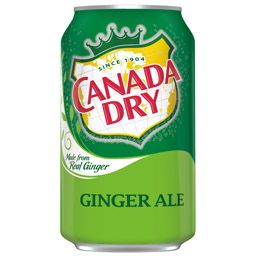 Ginger Ale 12oz can